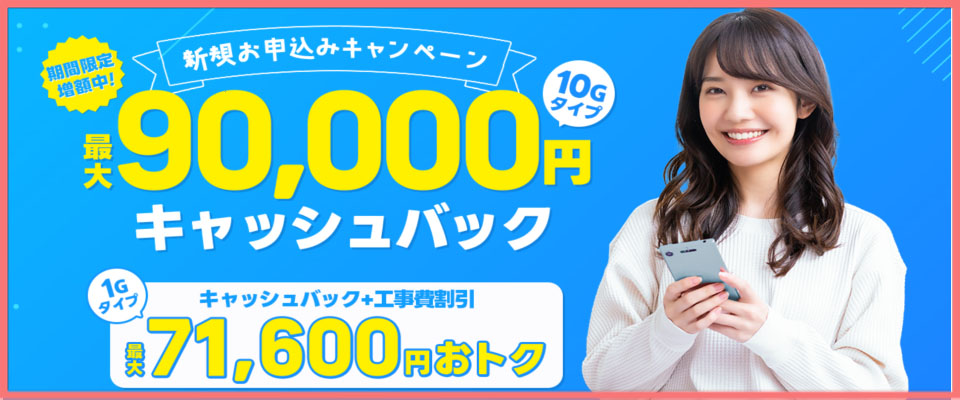 株式会社NEXT ビッグローブ光