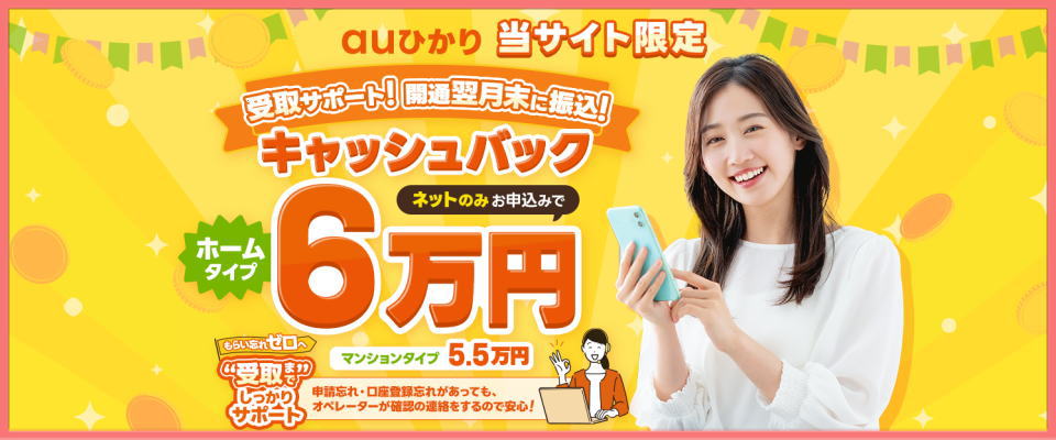 株式会社NNC auひかり